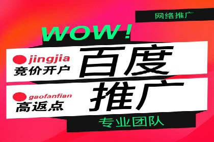 怎样做百度推广：成功案例分析与策略